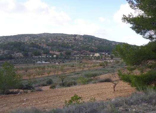 Land - Перепродажа - Pinoso - Inland