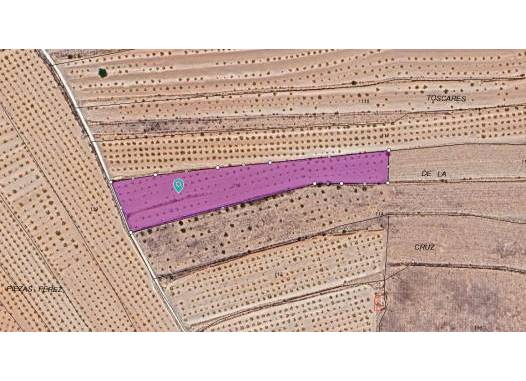 Land - Перепродажа - Pinoso - Inland