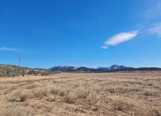 Land - Перепродажа - Pinoso - Inland