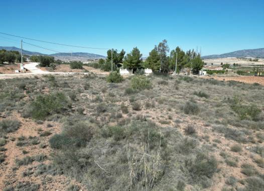 Land - Перепродажа - Pinoso - Inland