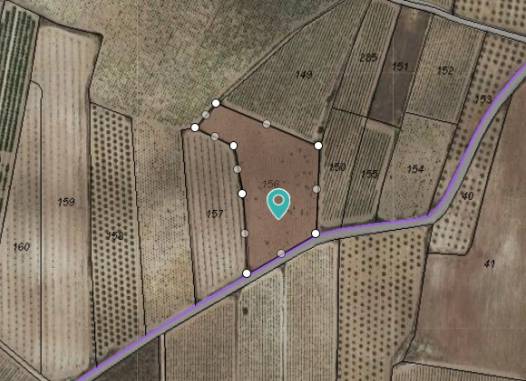 Land - Перепродажа - Pinoso - Inland