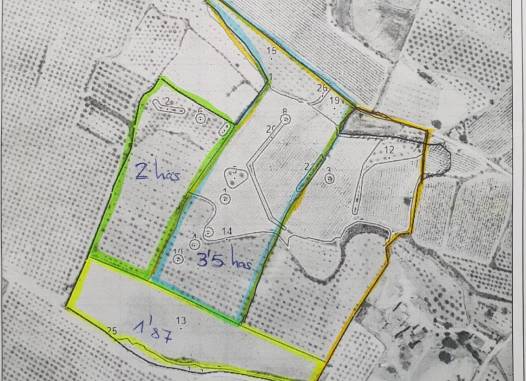 Land - Перепродажа - Pinoso - Inland