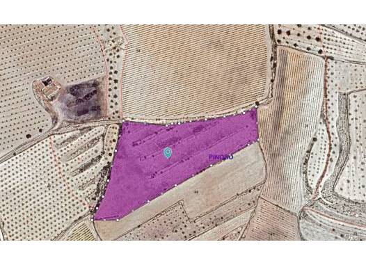 Land - Перепродажа - Pinoso - Inland