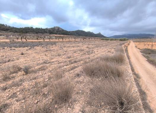 Land - Resale - La Solana - La Solana