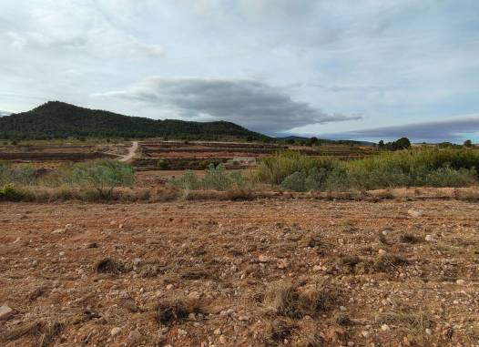 Land - Resale - Monóvar/Monóver - Inland