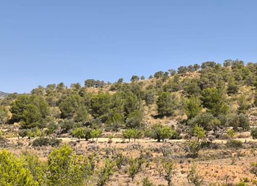 Land - Resale - Monóvar/Monóver - Inland