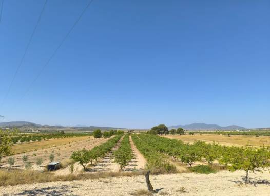 Land - Resale - Monóvar/Monóver - Inland