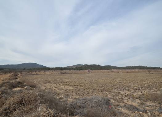 Land - Resale - Monóvar/Monóver - Inland