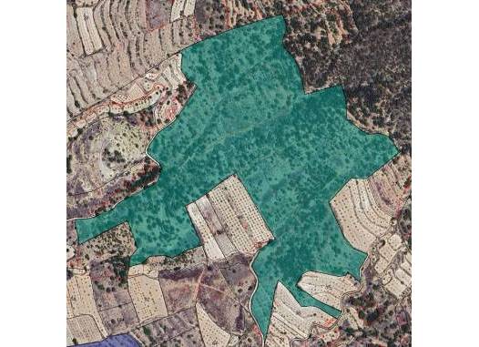 Land - Resale - Monóvar/Monóver - Inland