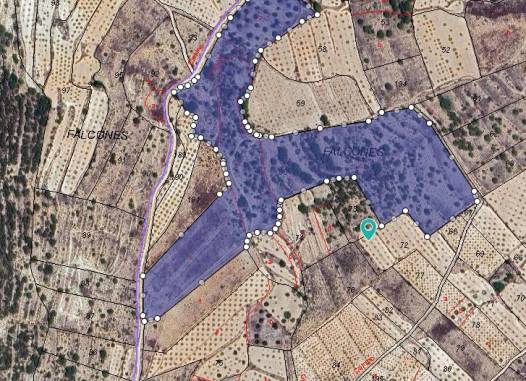 Land - Resale - Monóvar/Monóver - Inland