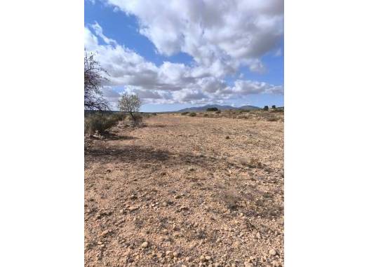 Land - Resale - Pinoso - Inland