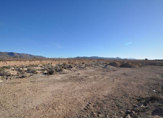 Land - Resale - Pinoso - Inland