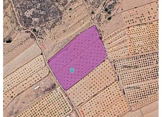 Land - Resale - Pinoso - Inland