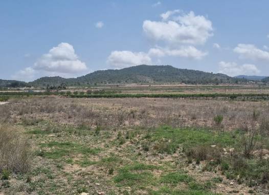 Land - Resale - Pinoso - Inland