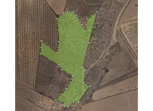 Land - Resale - Pinoso - Inland