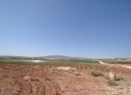 Land - Resale - Pinoso - Inland