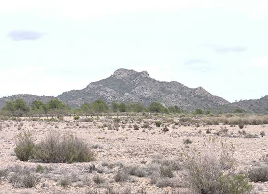 Land - Resale - Salinas - Inland