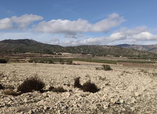 Land - Resale - Salinas - Inland