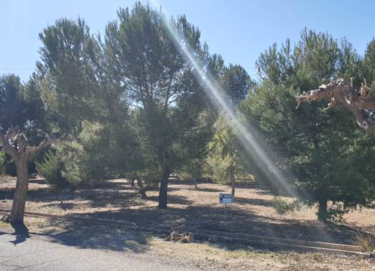 Land - Revente - Beneixama - Inland