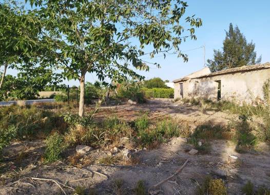 Land - Revente - Catral - Catral