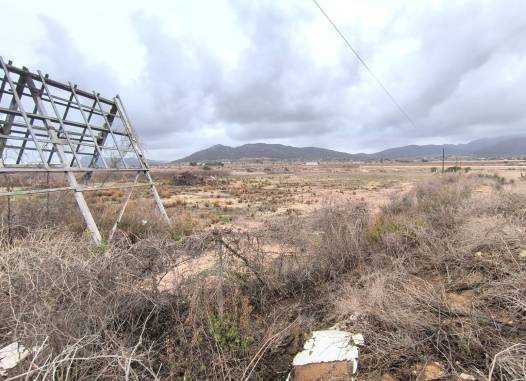 Land - Revente - La Romana - Inland