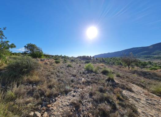 Land - Revente - La Romana - Inland