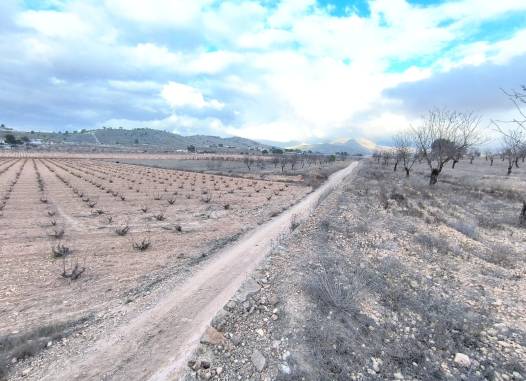 Land - Revente - La Solana - La Solana