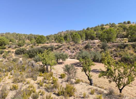 Land - Revente - Monóvar/Monóver - Inland