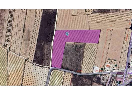 Land - Revente - Pinoso - Inland
