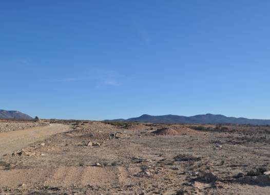 Land - Revente - Pinoso - Inland