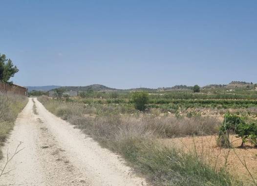 Land - Revente - Pinoso - Inland