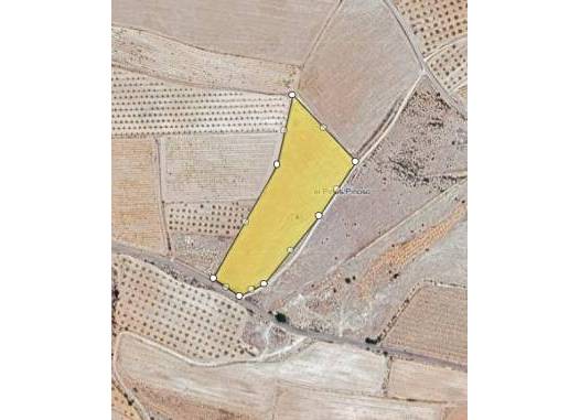 Land - Revente - Pinoso - Inland