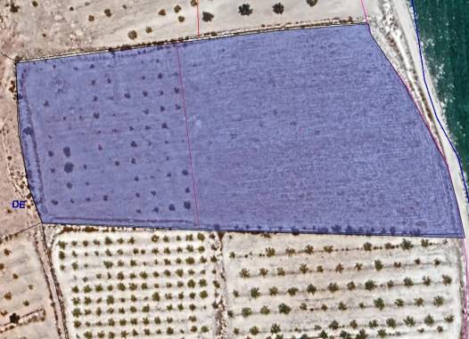 Land - Revente - Pinoso - Inland