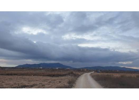 Land - Revente - Pinoso - Inland