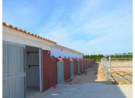 Land - Revente - San Miguel de Salinas - Inland