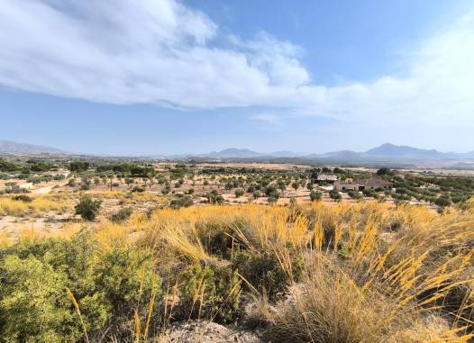 Land - Revente - Sax - Inland