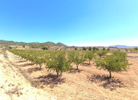 Land - Salg - Monóvar/Monóver - Inland