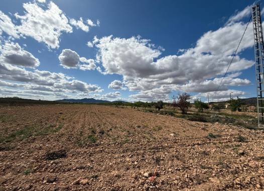 Land - Salg - Pinoso - Inland