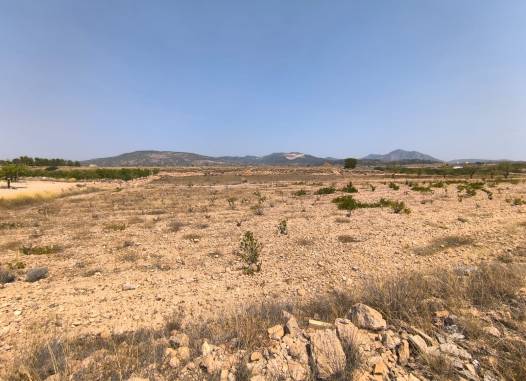Land - Salg - Pinoso - Inland