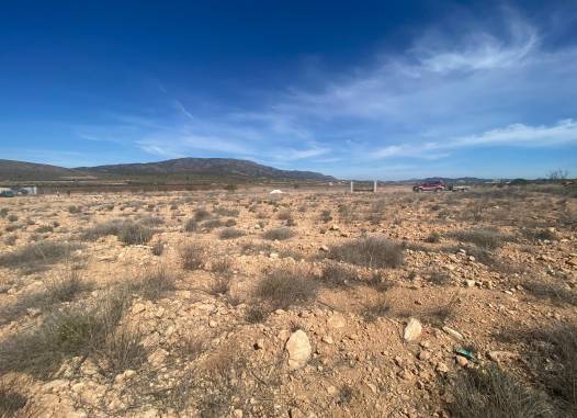 Land - Salg - Pinoso - Inland