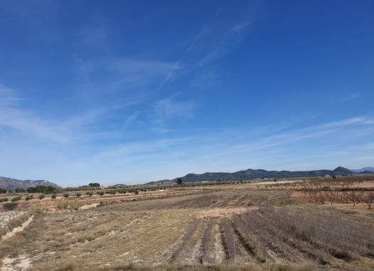 Land - Salg - Pinoso - Inland