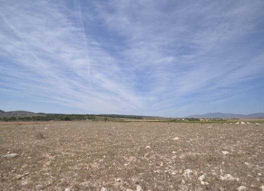 Land - Salg - Pinoso - Inland