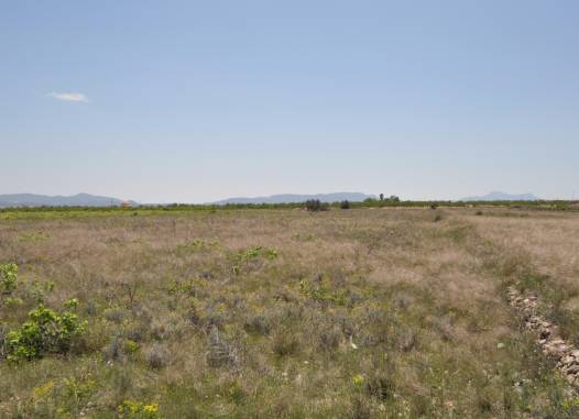 Land - Salg - Pinoso - Inland