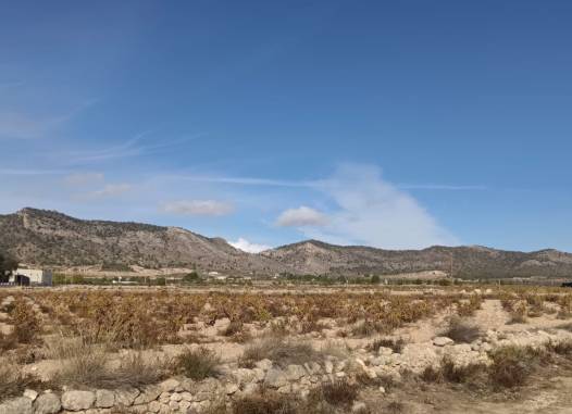 Land - Salg - Salinas - Inland