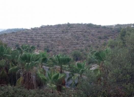 Land - Venta - Gandia - Inland