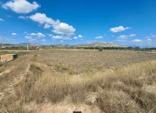 Land - Venta - Hondón de las Nieves - Inland