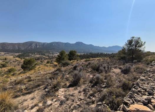 Land - Venta - La Romana - Inland