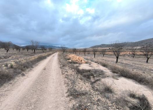 Land - Venta - La Solana - La Solana