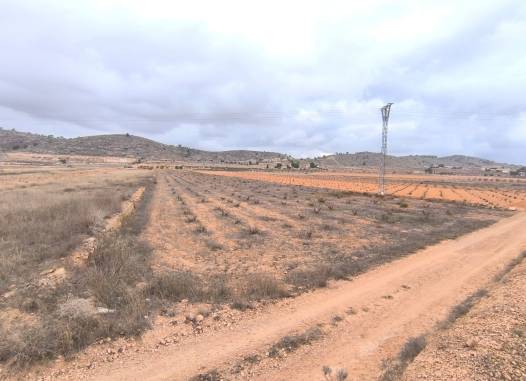 Land - Venta - La Solana - La Solana