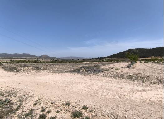 Land - Venta - Monóvar/Monóver - Inland